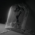 the album cover for Visible Cloaks - Paradessence [Silver]