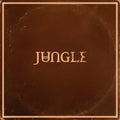 the album cover for Jungle - Sunshine [Black]