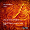the album cover for Vincze, Davor - Ashes
