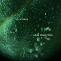 the album cover for Micro Majong - Noise Conception