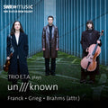 the album cover for Elene Meipariani - Trio E.T.A. Plays Un Known