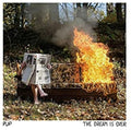 the album cover for Pup - Dream Is Over