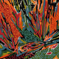 the album cover for Akusmi - Terra Incognita (color Vinyl)