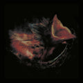 the album cover for Gurriers - Nobody's Coming To Save You [Black]