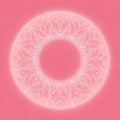 the album cover for Merzbow & Pedro Vian - Bardo Thodol