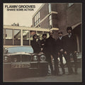 the album cover for Flamin' Groovies - Shake Some Action (50th Anni/2lp) (brick & Mortar Exclusive)