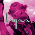 the album cover for Hijss - Hijss
