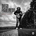 the album cover for Diego Figueiredo - Horse Blues