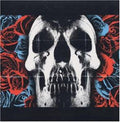 the album cover for Deftones - Deftones