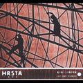 the album cover for Hrsta - Stem Stem in Electro