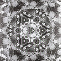 Atomic Forest - Obsession (LP)