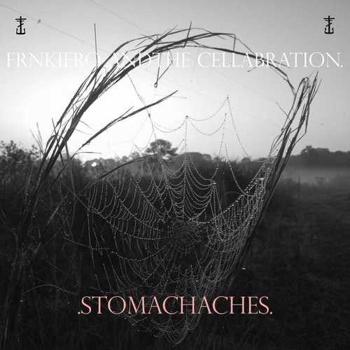 Frnkiero & The Cellabration - Stomachaches [LP]