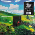 Rainbow Kitten Surprise - bones [LP]