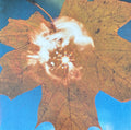 Soyuz - Force Of The Wind [LP]