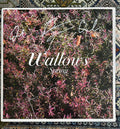 Spring EP [Pink & Green Vinyl]