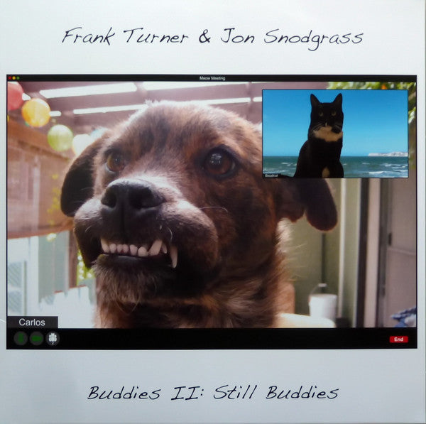 Frank Turner / Snodgrass,Jon - Buddies II: Still Buddies [LP]