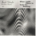 Janek Schaefer - What Light There Is Tells Us Nothing [LP]