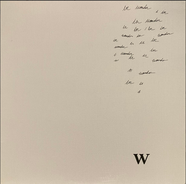 Shawn Mendes - Wonder [clear]