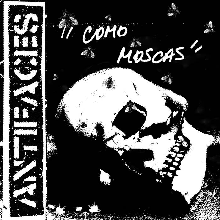 Antifaces - Como Moscas