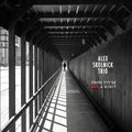 Alex Skolnick Trio — Prove You're Not a Robot, vinyl LP album cover