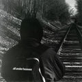 all under heaven — Don't Suffer Alone / Alley Cat - Single, 7-inch vinyl single album cover