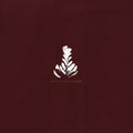 Athletics — Who You Are Is Not Enough, vinyl LP album cover
