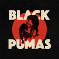 Black Pumas — Black Pumas, vinyl LP album cover