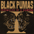 Black Pumas — Chronicles of a Diamond, vinyl LP album cover