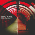 Bloc Party — Anatomy Of A Brief Romance, vinyl LP album cover