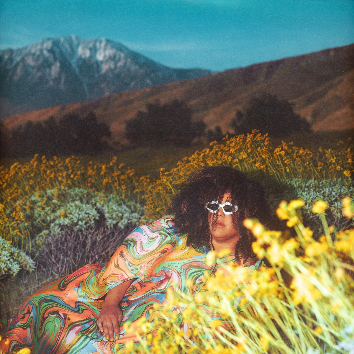 Brittany Howard — What Now, vinyl LP album cover