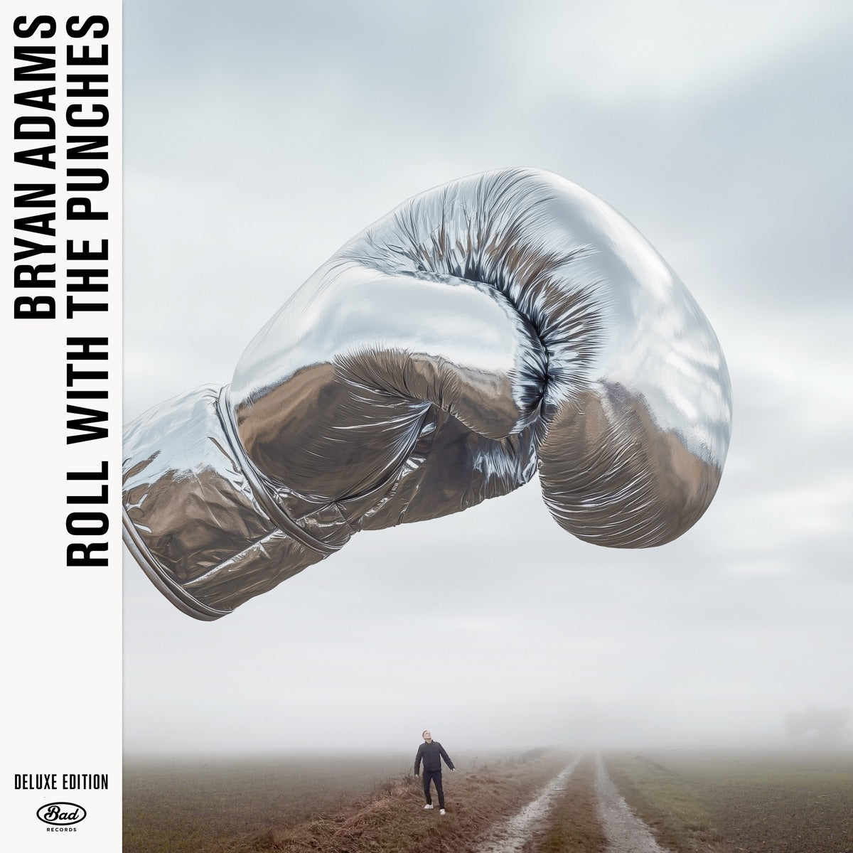 Bryan Adams — Roll With The Punches (Deluxe Edition), vinyl LP album cover