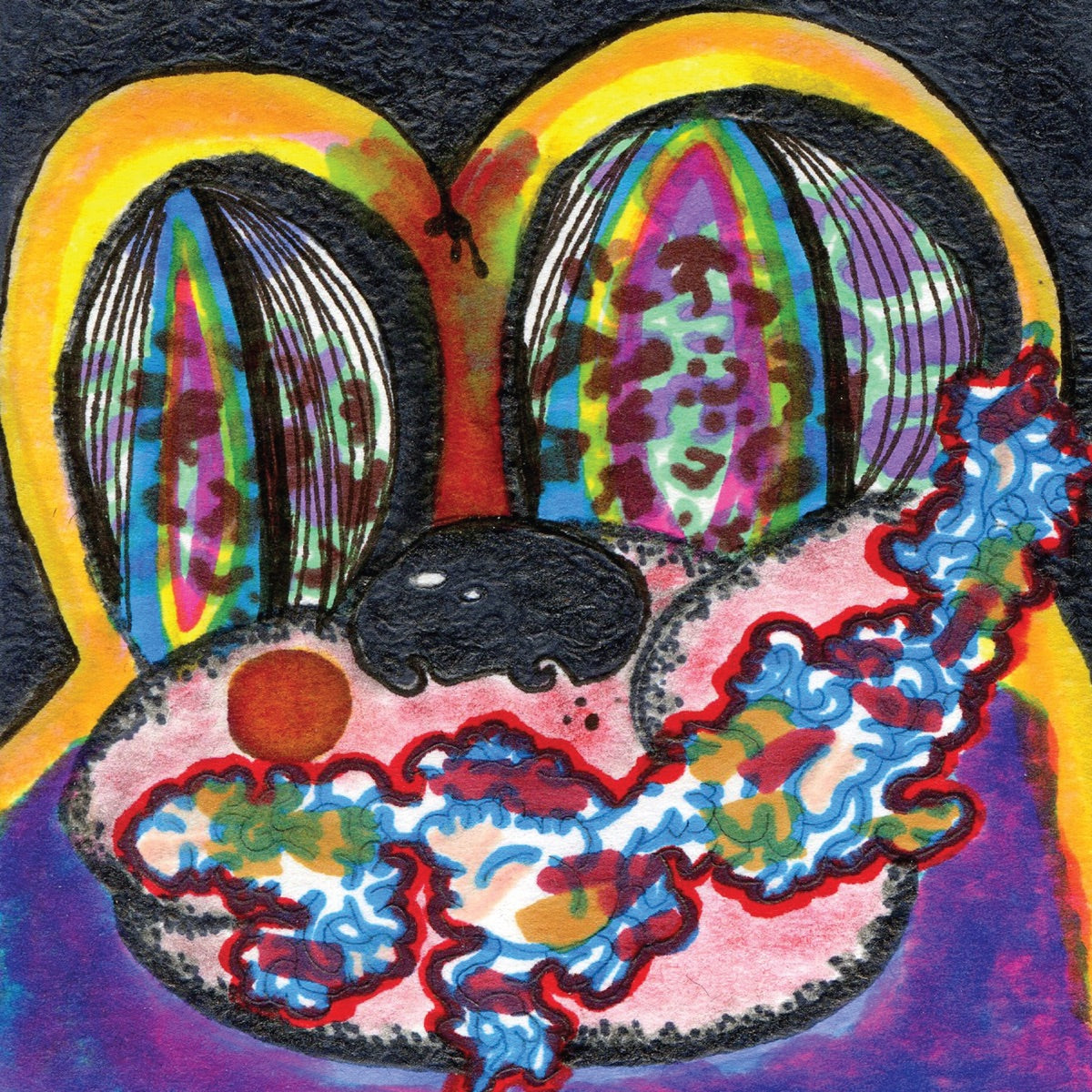 Cage the Elephant — Thank You Happy Birthday (Expanded Edition), vinyl LP album cover