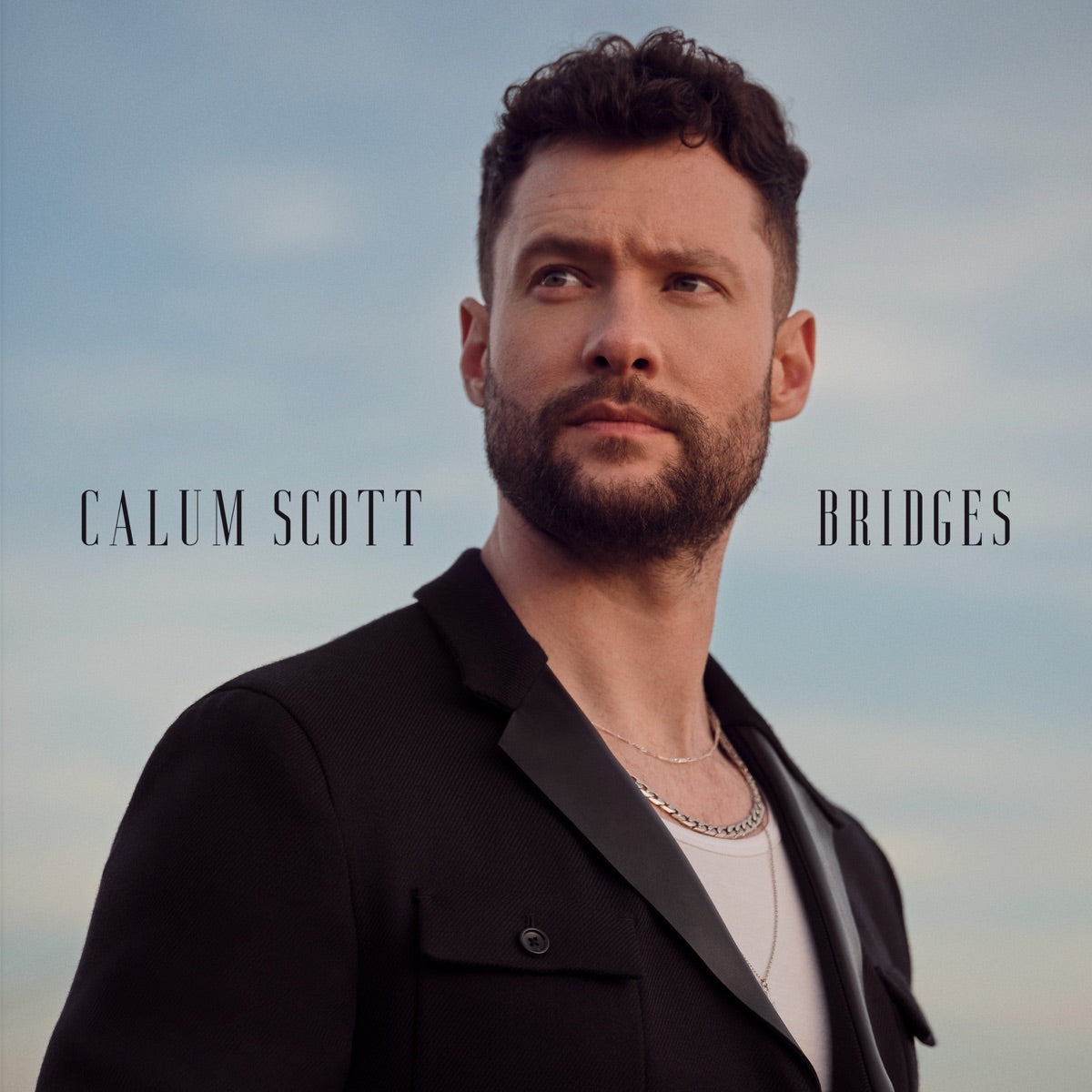 Calum Scott — Bridges, vinyl LP album cover