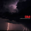 Cold — A Different Kind Of Pain (Domestic Version), vinyl LP album cover