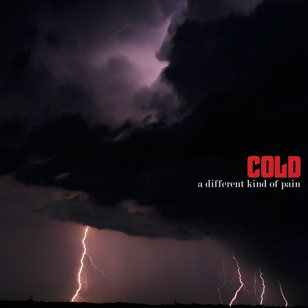 Cold — A Different Kind Of Pain (Domestic Version), vinyl LP album cover