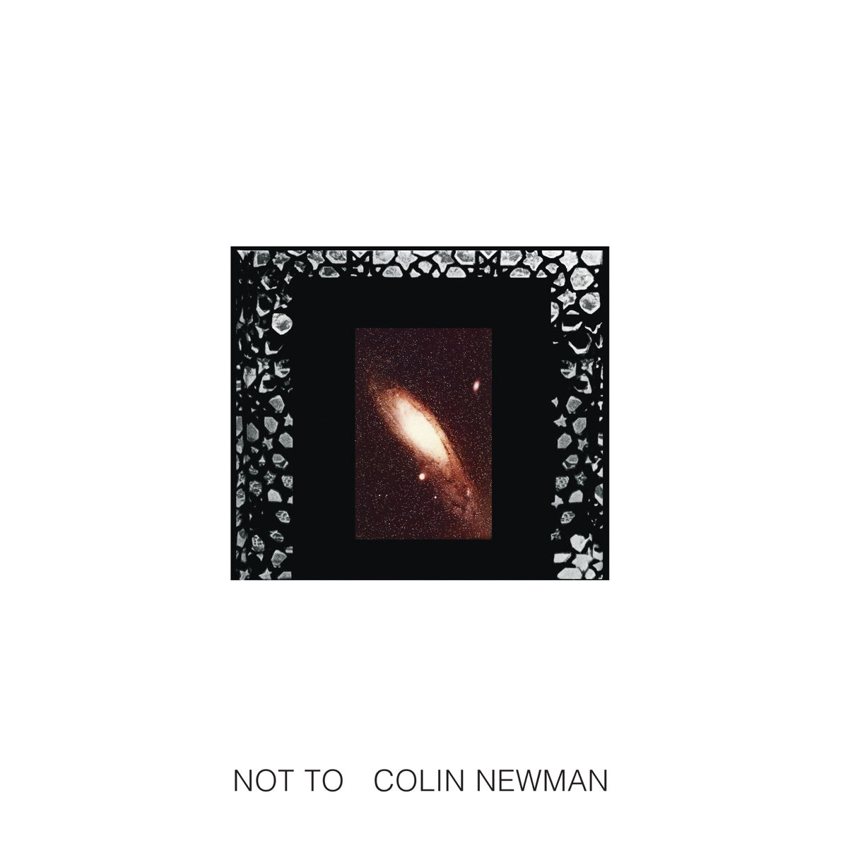 Colin Newman — Not To (Remastered 2016), vinyl LP album cover