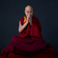 Dalai Lama — Inner World (Instrumental), vinyl LP album cover