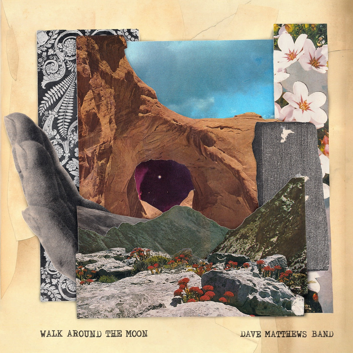 Dave Matthews Band — Walk Around The Moon, vinyl LP album cover