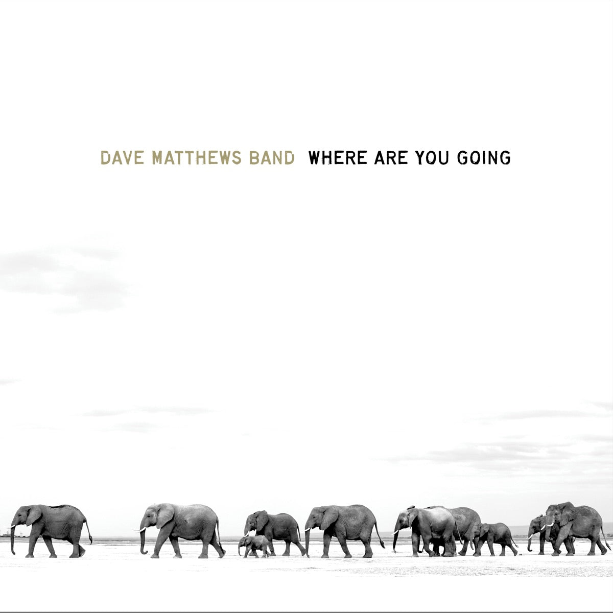 Dave Matthews Band — Where Are You Going: The Singles, vinyl LP album cover