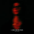 David Kushner — The Dichotomy, vinyl LP album cover