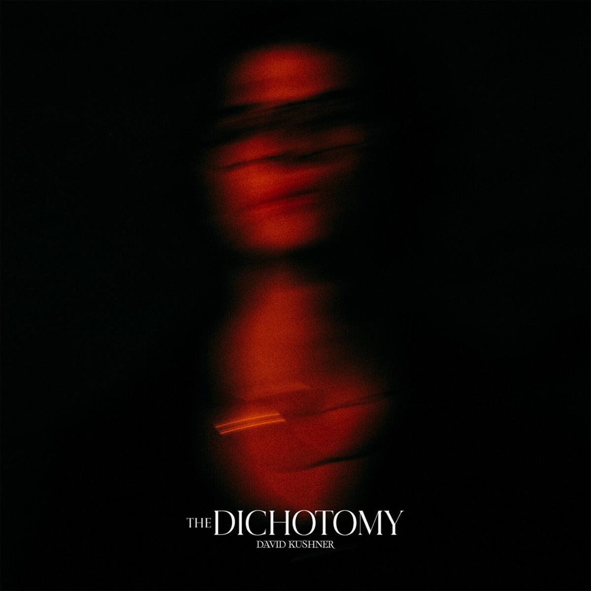 David Kushner — The Dichotomy, vinyl LP album cover