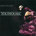Dead Or Alive — Youthquake, vinyl LP album cover