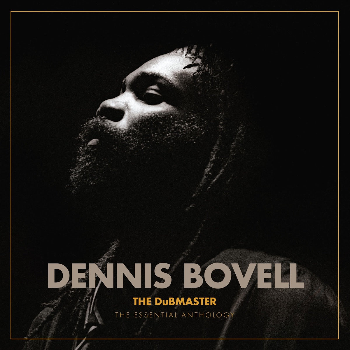 Dennis Bovell — The DuBMASTER: The Essential Anthology, vinyl LP album cover