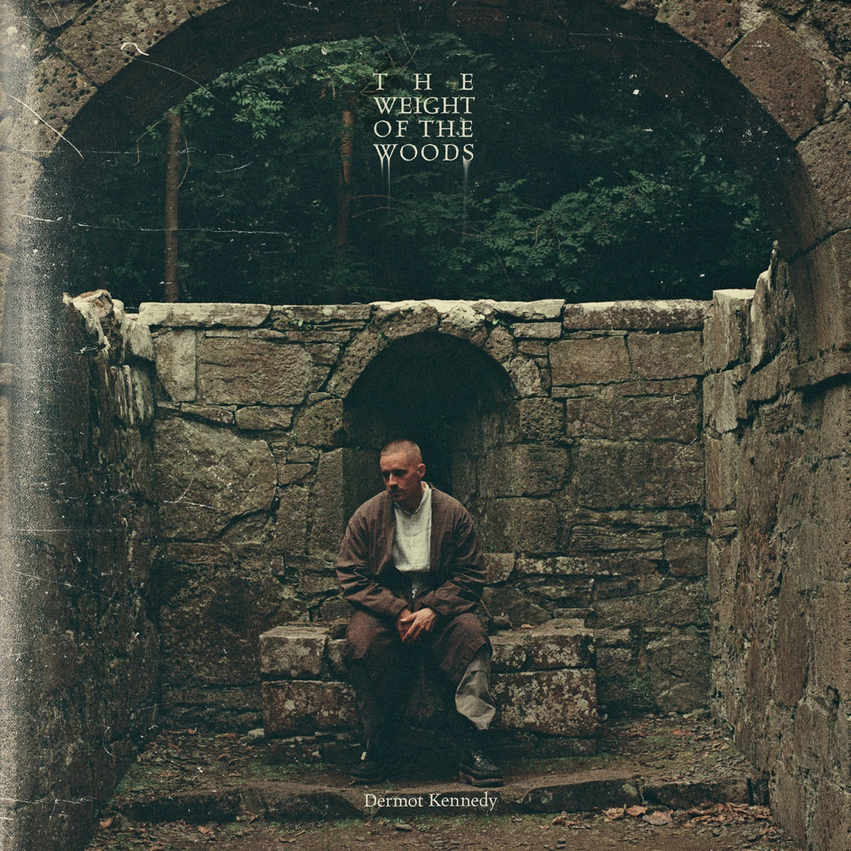 Dermot Kennedy — The Weight of the Woods, vinyl LP album cover