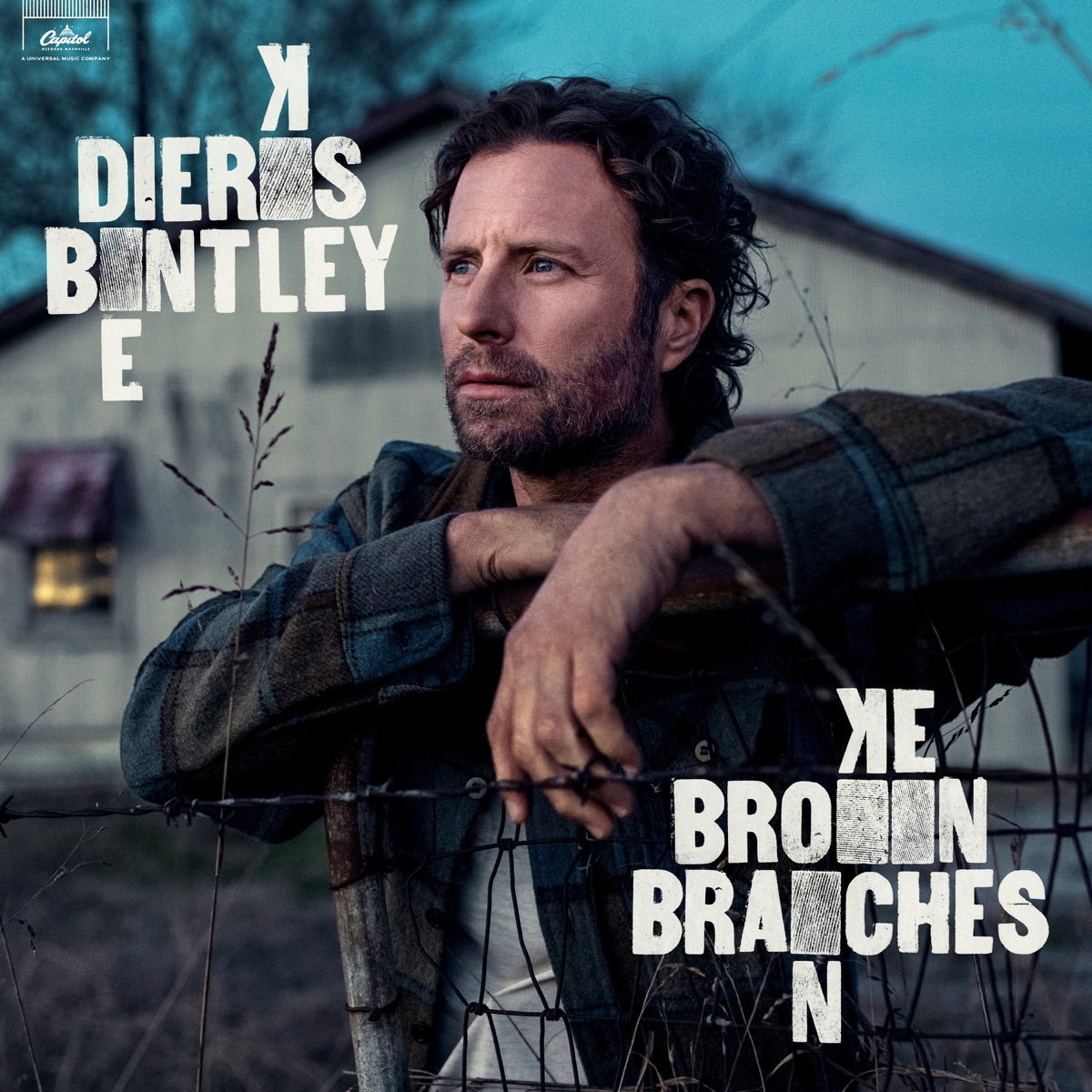 Dierks Bentley — Broken Branches, vinyl LP album cover