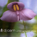 DJ Cam — Underground Vibes, vinyl LP album cover