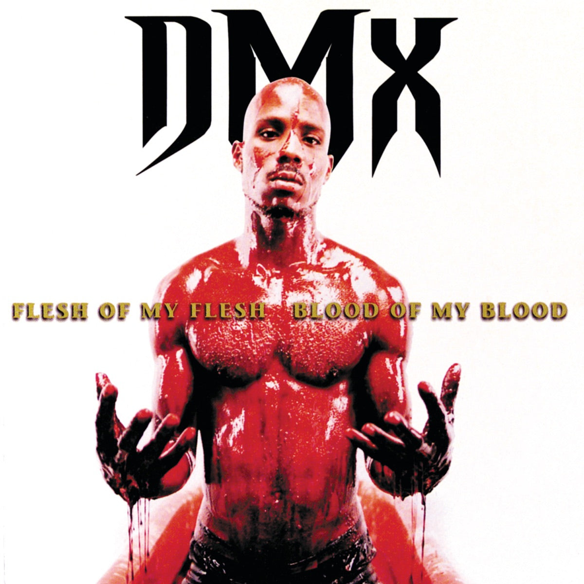 DMX — Flesh of My Flesh, Blood of My Blood, vinyl LP album cover