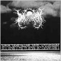 Drautran — Unter dem Banner der Nordwinde, vinyl LP album cover