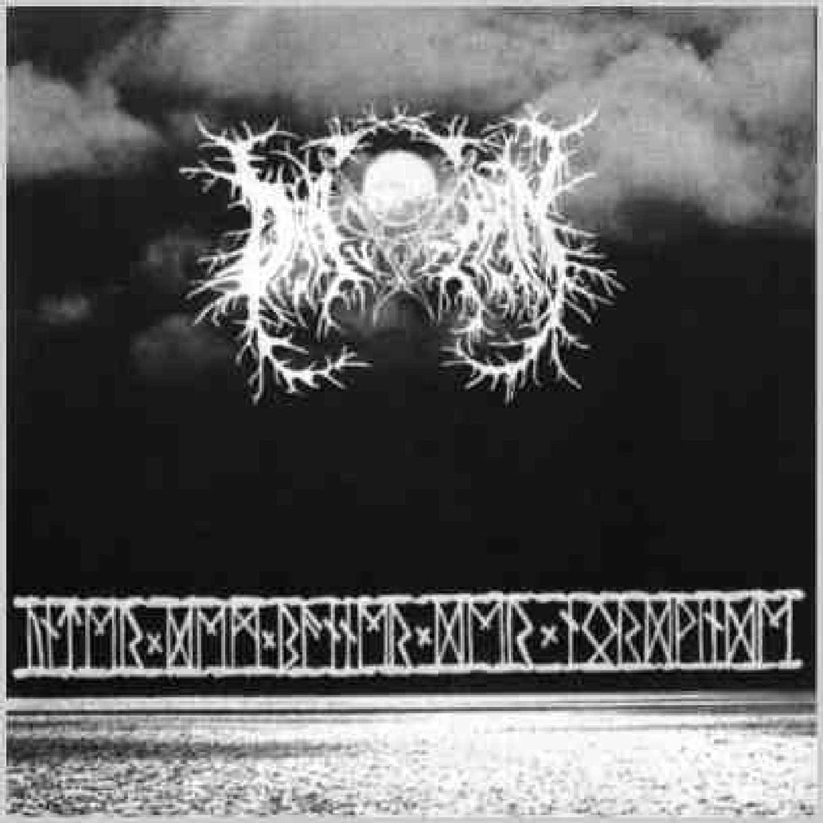 Drautran — Unter dem Banner der Nordwinde, vinyl LP album cover