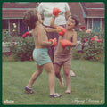 Elbow — Flying Dream 1, vinyl LP album cover